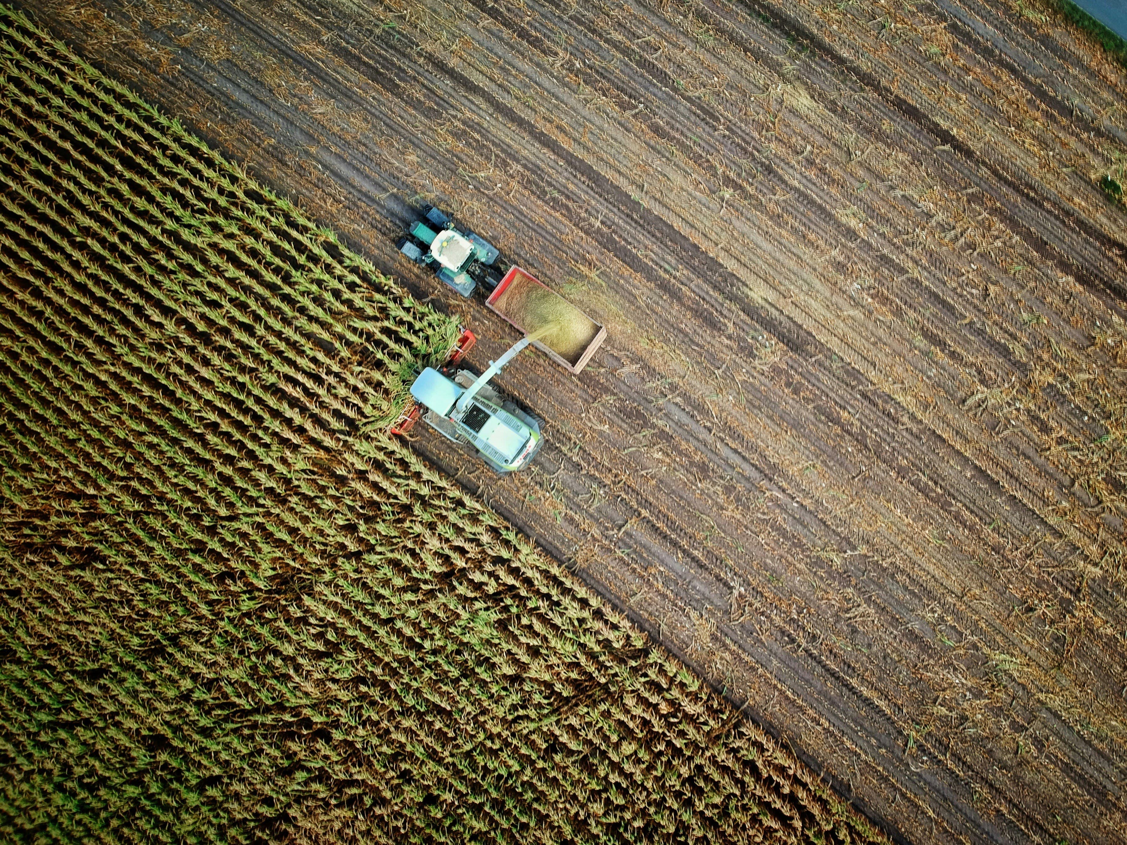 Aerial view of a grain harvest in progress on a Canadian farm